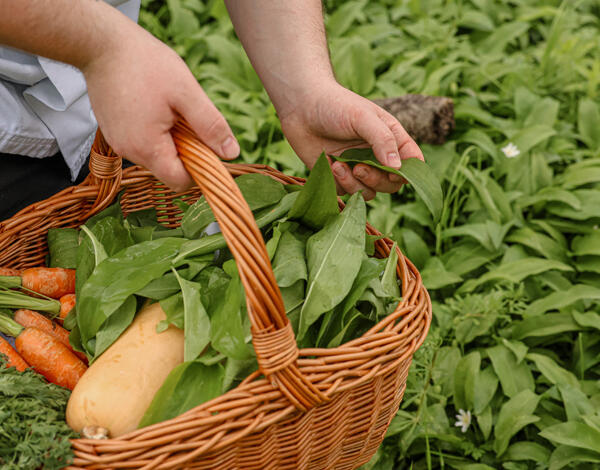 Supper Club <br> Wild Garlic